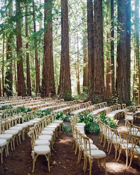 w e r k • Instagram Wedding Ceremony Ideas, Woodland Wedding Ceremony, Forest Wedding Ceremony, Twilight Wedding, Enchanted Forest Wedding, Boho Outdoor, Best Wedding Venues, Wedding Goals, Wedding Ceremony Decorations