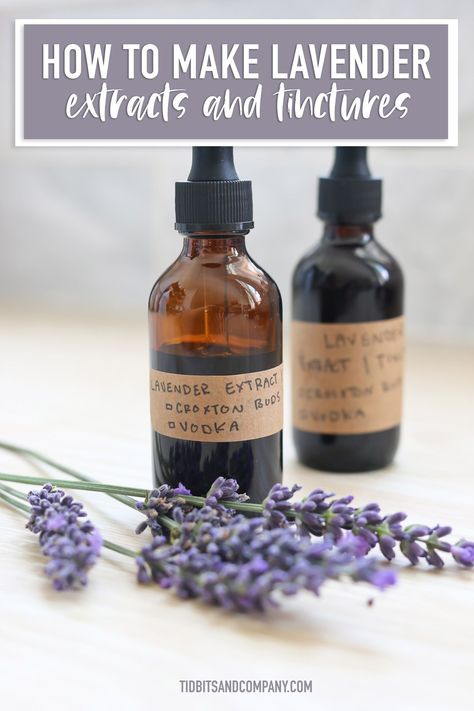 If you want to experience the health benefits or unique flavor of lavender, take a look at lavender extracts and tinctures. I'll show you how to make your own lavender extract and tincture at home in a few simple steps. Lavender Tincture, Tinctures Recipes, Lavender Cookies, Herb Garden Pots, Container Herb Garden, Lavender Recipes, Medicinal Herbs Garden, Lavender Benefits, Lavender Syrup