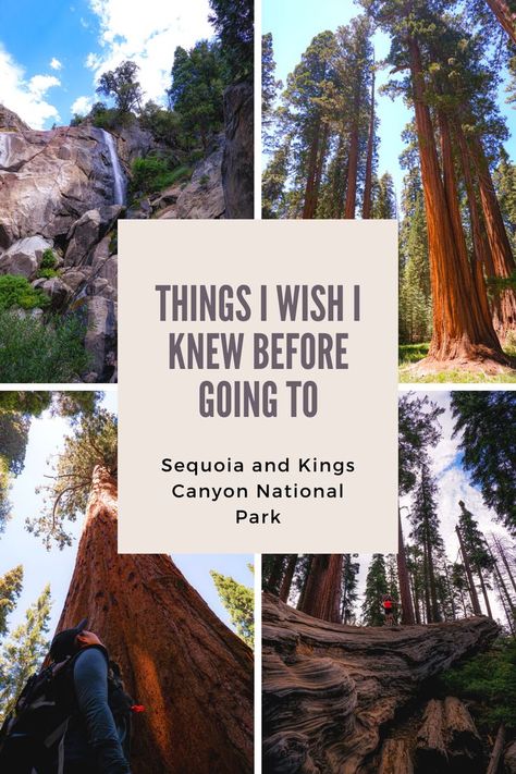 Things I wish I knew before going to Sequoia and Kings Canyon National Park. Read the blog to find out: 1) What is the difference between Sequoia and Kings Canyon National Park? 2) Weather and best time to go 3) Summer shuttle system 4) Where to stay at Sequoia or Kings Canyon National Park Los Angeles, Sequoia Camping, San Francisco Road Trip, Yosemite Sequoia, California Places To Visit, Sequoia National Park California, Pacific Coast Road Trip, Yosemite Trip, National Park Camping