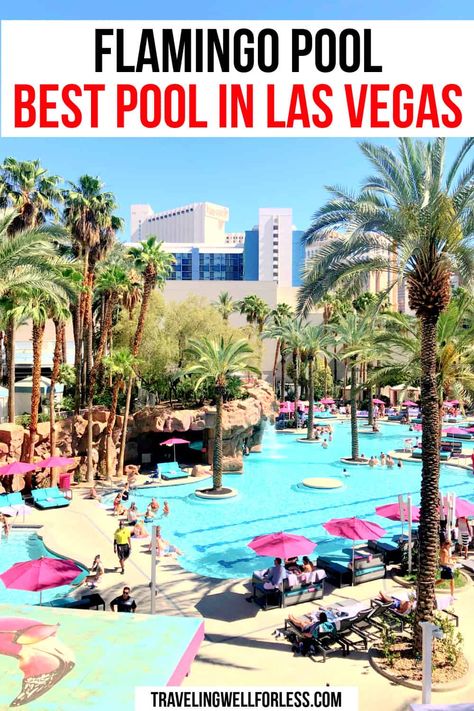 The Flamingo Pool is one of the best pools in Las Vegas. In the center of the Las Vegas Strip, the Flamingo Las Vegas Hotel & Casino offers two pools, waterfall, lagoon, and waterslides | Flaming Pool | Flamingo Las Vegas Pool | Go Pool | Beach Club | best pools in Las Vegas | best Vegas pools | Las Vegas pools | Flamingo Las Vegas Hotel & Casino | #travelwell4less Las Vegas, Pools Waterfall, Vegas Paris Hotel, Pool Party Las Vegas, Best Pools In Vegas, Flamingo Hotel Las Vegas, Best Hotels In Vegas, Vegas Hotel Rooms, Best Pools