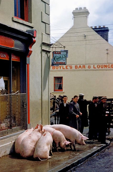 vintage everyday: Pictures of Ireland in 1954 Zaragoza, Pictures Of Ireland, Inge Morath, Vintage Ireland, Ireland Pictures, Ireland History, Ancient Ireland, Images Of Ireland, Kerry Ireland