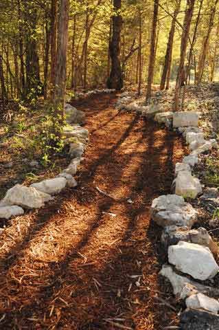Enjoy well maintained walking paths through the woods. Cottagecore Landscaping, Cabin Indoor, Missouri Vacation, Cabin Resort, Wooded Landscaping, Backyard Paradise, Forest Garden, Woodland Garden, Garden Pathway