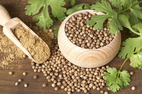 Coriander Essential Oil, Edible Seeds, Ayam Goreng, Coriander Powder, Coriander Leaves, Spices And Herbs, In Arabic, Spices And Seasonings, Coriander Seeds