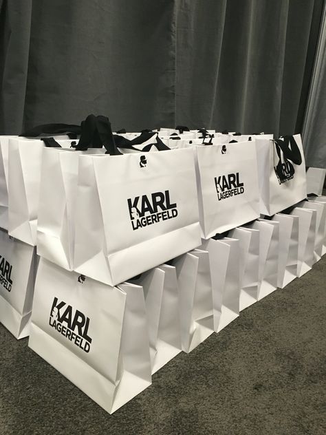 Shopping Bags Luxury Aesthetic, Karl Lagerfeld Aesthetic, Karl Lagerfeld Bag, Shoping Bag, Sparkly Bag, Karl Lagerfeld Bags, Swag Bags, Vision Board Manifestation, Swag Bag