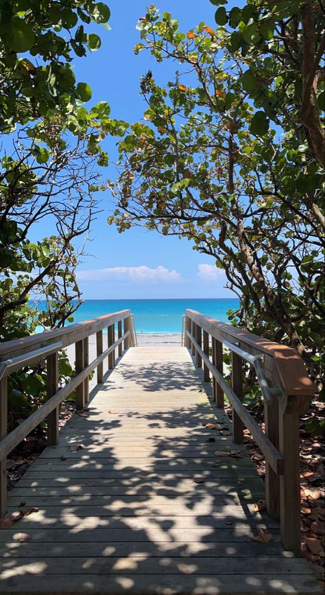 Jupiter beach Florida beach stairs outdoor ocean beach stairs aesthetic blue beach Blue ocean water beach aesthetic summer Jupiter Beach Florida, Sunny Beach Day, Jungle Pictures, Jupiter Beach, Calming Pictures, Wallpaper Cantik, Pretty Beach, Beach Background, Ocean Vibes