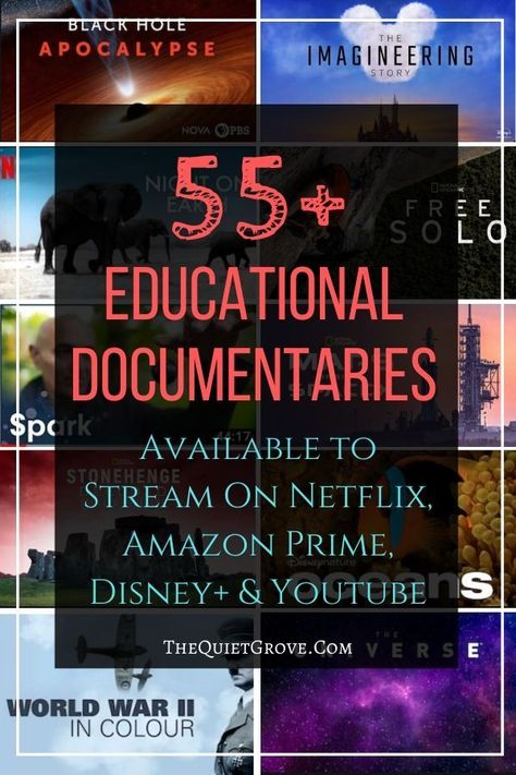 Best History Documentaries, Best Documentaries On Amazon Prime, Homeschool Documentaries, Documentaries For Kids, Educational Documentaries, Educational Movies, History Documentaries, Good Documentaries To Watch, Homeschool Highschool