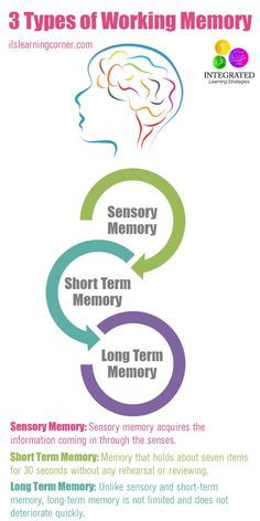 Types of Memory: Working Memory Tied to Your Child's Intelligence - Integrated Learning Strategies Memory Psychology, Glenn Doman, Types Of Memory, Integrated Learning, Executive Functioning Skills, Learning Tips, Working Memory, Parenting Strategies, Higher Learning