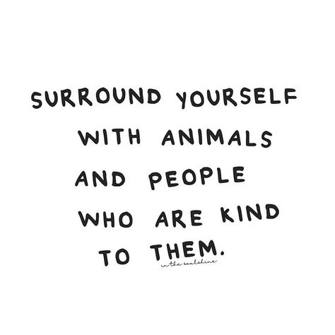 "Surround yourself with animals and people who are kind to them." Humour, Animal Kindness Quotes, Kindness To Animals Quotes, Animal Rights Aesthetic, Animal Welfare Quotes, Animals And People, Vegan Quotes, Surround Yourself, Animal Rights