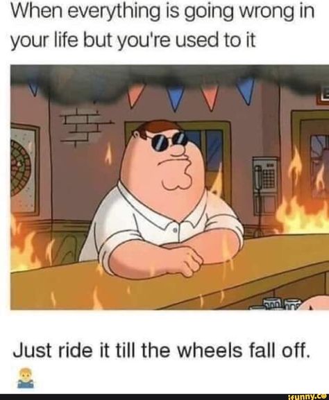 When everything is going wrong in your life but you're used to it Just ride it till the wheels fall off. – popular memes on the site iFunny.co #seasons #animalsnature #when #going #wrong #life #youre #used #just #ride #till #wheels #fall #pic Humour, Everything Going Wrong, Wrong Quote, Funny Car Memes, Funny Memes About Life, Monday Memes, Good Comebacks, Mc Laren, Memes Sarcastic