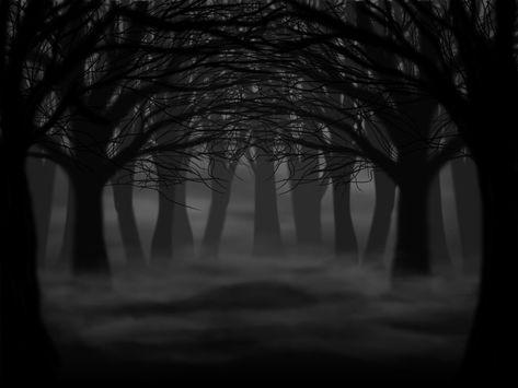 Horror Background Dark Landscape, Black Forest Background, Creepy Forest Drawing, Dark Forest Illustration, Aesthetic Dark Forest, Dark Forest Landscape, Dark Ambiance, Dante Inferno, Creepy Woods
