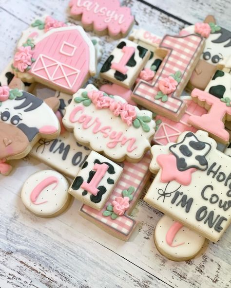 Happy Birthday to Carsyn! I hope the day was amazing! (I tried to think of a silly cow pun but failed…) #holycowimone #holycowbirthday… | Instagram Silly Cow, Cow Puns, Cow Cookies, First Birthday Cookies, Farm Cookies, Birthday Puns, 2nd Birthday Party Themes, Baby Cow, Baby Cows