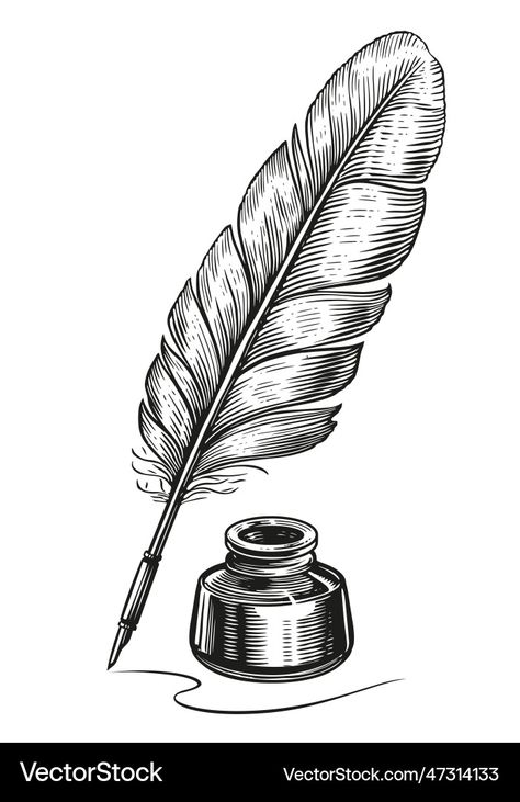 Feather Quill Drawing, Quill Pen Aesthetic, Feather Pen Drawing, Quill Illustration, Ink And Feather, Quill Drawing, Writing Feather, Feather Sketch, Fountain Pen Drawing