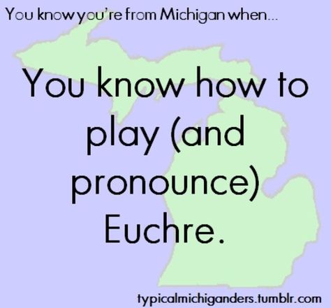 !!! Michigan Facts, Michigan Girl, Michigan Road Trip, Roasted Cabbage, Vintage Michigan, State Of Michigan, Mackinac Island, Upper Peninsula, Go Blue