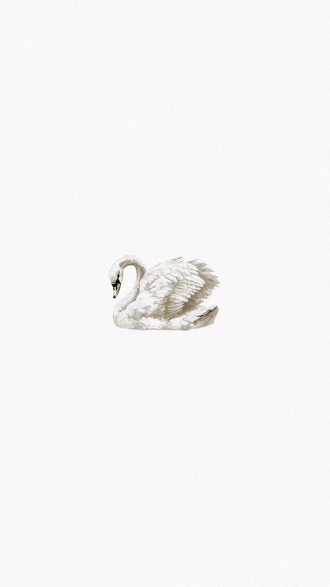 Swan Wallpaper, Foto Disney, التصميم الخارجي للمنزل, 패턴 배경화면, Iphone Wallpaper Photos, Tapeta Pro Iphone, White Swan, Swan Lake, White Wallpaper