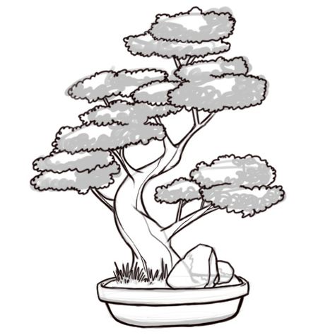 How to Draw a Bonsai Tree: 8 Steps (with Pictures) - wikiHow Tree Outline Drawing, Bonsai Tree Drawing, Bonsai Tree Tattoo, Bonsai Tree Painting, Bonsai Tattoo, Bonsai Drawing, Bonsai Tree Tattoos, Tree Tattoo Meaning, Tree Drawing Simple