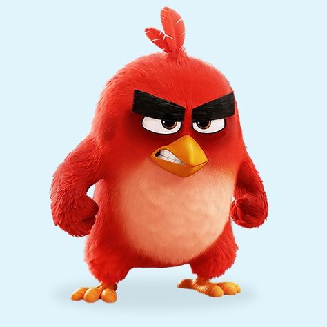 Angry Birds Movie Red, Angry Bird Pictures, Angry Birds 2 Movie, Birds Wallpaper Hd, Angry Birds Characters, Red Angry Bird, Angry Cartoon, Carl Y Ellie, سبونج بوب