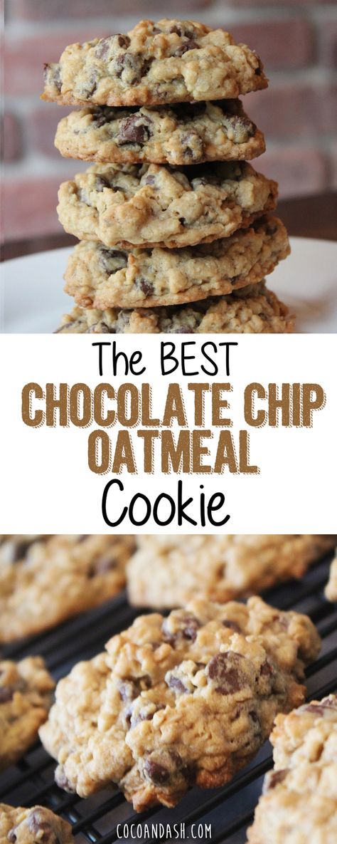 Oatmeal Chocolate Chip Cookie Recipe, Chocolate Chip Oatmeal Cookies, Dark Brown Sugar, Oatmeal Cookies Chewy, Best Chocolate Chip, Oatmeal Chocolate Chip, Chocolate Oatmeal, Oatmeal Cookie, Oatmeal Chocolate