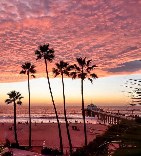 Manhattan Beach California, Manhattan Beach Pier, California Tattoo, Beach Pier, California Living, Manhattan Beach, Beach California, 2024 Vision, Happy Tuesday