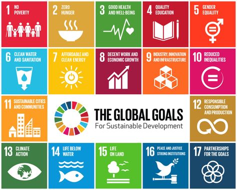 Sdg Goals, Sustainable Goals, Global Goals, Goals Setting, Poverty And Hunger, Global Citizenship, Un Sustainable Development Goals, Sustainable City, Health Tools