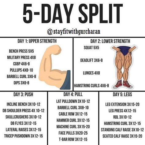 5 Day Split, Push Pull Workout Routine, 5 Day Workout Split, Split Workout Routine, Training Split, Push Pull Workout, 5 Day Workouts, Push Pull Legs, Fat Bird