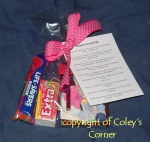 Survival Kits, Secret Sisters Ideas For Church, Survival Kit Gifts, Secret Sister Gifts, Secret Sister, Secret Pal, Secret Sisters, Survival Supplies, Sister Christmas