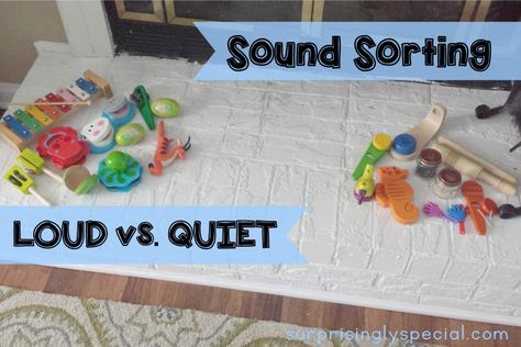 Montessori, Loud And Soft Sounds Activities, Dramatic Play Preschool Activities, 5 Senses Craft, 5 Senses Preschool, Aesthetic Classroom, Five Senses Preschool, 5 Senses Activities, Senses Preschool