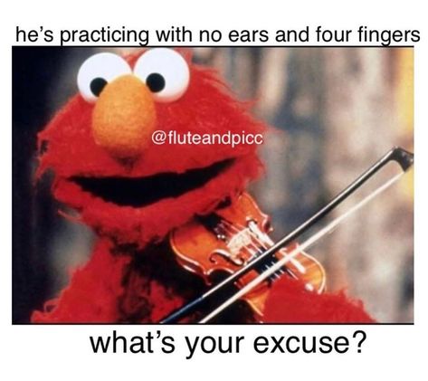 Music Memes & Info on Instagram: “At least Elmo tries... . . .  #composer #performer #music #classicalmusic #orchestramemes #orchestra #bandmemes #band #violin #viola #cello…” Vic Fuentes, Humour, Flute Memes, Orchestra Humor, Elmo Memes, Musician Memes, Piccolo Flute, Musician Jokes, Viola Music