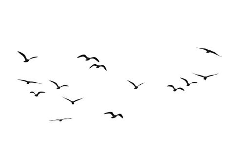 Birds Flying Sillhouette Tattoo Ghost, Flying Bird Drawing, Bird Silhouette Tattoos, Seagull Tattoo, Vogel Silhouette, Flying Bird Silhouette, Fly Drawing, Vogel Tattoo, Seagulls Flying