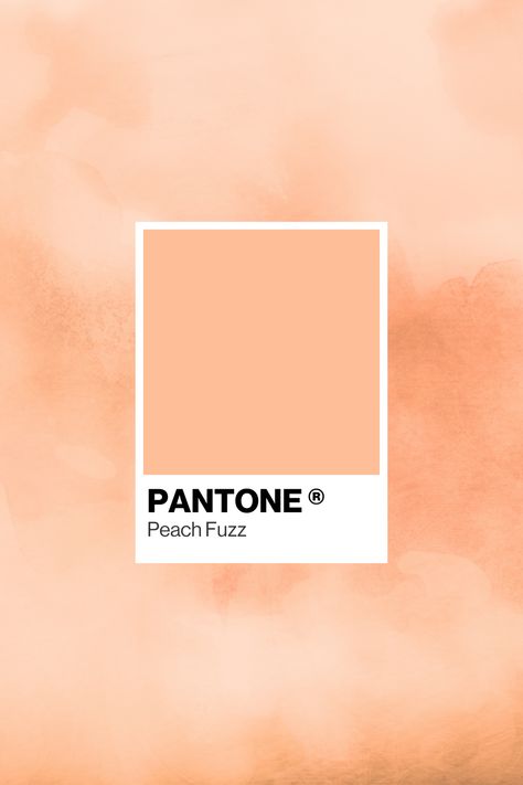 Feeling peachy keen about this years Colour Of The Year 🍑 Pantone describes PANTONE 13-1023 Peach Fuzz as a fresh approach to a new softness. Subtly sensual, PANTONE 13-1023 Peach Fuzz is a heartfelt peach hue bringing a feeling of tenderness and communicating a message of caring and sharing, community and collaboration. Peach And Pink Aesthetic, Soft Peach Color Palette, Pantone 13-1023 Peach Fuzz, Peach Fuzz Color Aesthetic, Peach Fuzz Pantone 2024, Peach Fuzz Aesthetic, Peach Fuzz Color, Pantone Peach Fuzz, Soft Peach Aesthetic