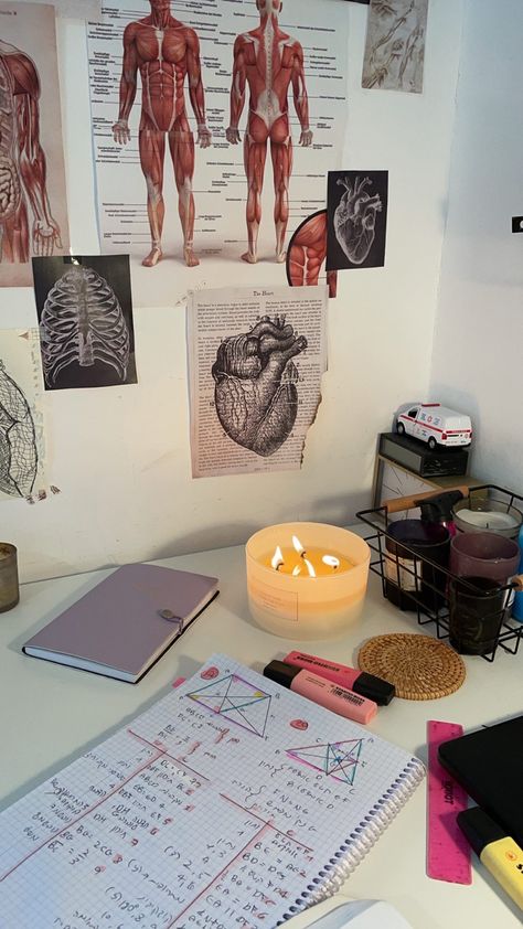 Study Anatomy Aesthetic, Studying Anatomy Aesthetic, Anatomy Class Aesthetic, Med Student Room, Medicine Student Girl, Physiology Aesthetic, Study Routine, Medical School Life, Nursing School Motivation