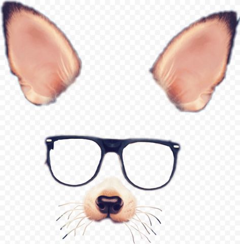 Animal Filter, Snapchat Dog Filter, Dog Filter, Original Background, Animal Categories, Snapchat Filters, No Background, Dog Puppy, Png Image