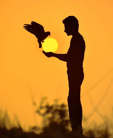 National Geographic Photo Contest, Silhouette People, Silhouette Photography, Sun Photo, Popular Photography, Silhouette Photos, Indian Photography, Phone Wallpaper For Men, Photo Art Gallery