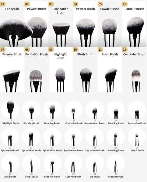 Brushes Uses Makeup, Face Makeup Brushes Guide, Makeup Brush Chart, Contour Makeup Brushes, Type Of Brushes Make Up, Brush Guide Makeup, Brushes For Eye Makeup, Concealer Blending Brush, All Makeup Brushes And Uses