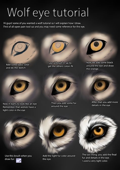 Little Red Cap Reference Photo Wolf Eye Drawing, Werewolf Eyes, Eye Drawing Tutorial, Digital Art Programs, Mata Anime, Eyes Tutorial, Wolf Sketch, Wolf Eyes, Realistic Eye Drawing