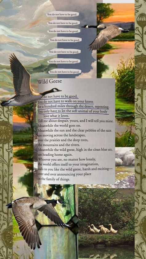 Mary Oliver - Wild Geese Nature, Mary Oliver Nature Quotes, Wild Geese Mary Oliver Tattoo, Mary Oliver Wallpaper, Mary Oliver Aesthetic, Mary Oliver Wild Geese, Wild Geese Mary Oliver, College Dorm Posters, Poetry Inspired