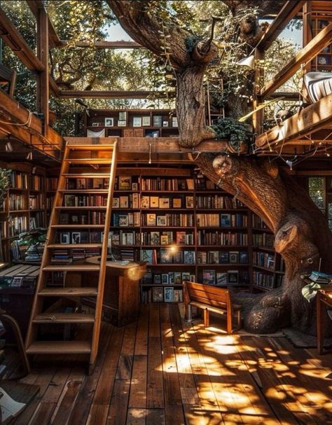 glowtinggg Forest Library Aesthetic, Dnd Buildings, Library Vibes, City Diorama, Cottagecore Aesthetic Wallpaper, Aesthetic Library, Being A Man, Tree House Plans, Fantasy Rooms