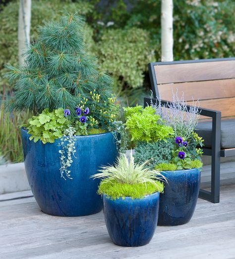 Blue Outdoor Planters, Colorful Outdoor Planters, Blue Planters Outdoor, Plant Pot Ideas Outdoor, Blue Plant Pots, Large Planters Outdoor, Blue Flower Pots, Patio Planter Ideas, Fall Planter Ideas