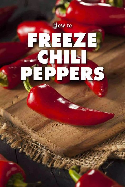 Preserve Chili Peppers, What To Do With Chili Peppers, How To Freeze Peppers, Freezing Chili, Freeze Peppers, Preserving Peppers, Pepper Harvest, Freezing Peppers, Homemade Curry Powder