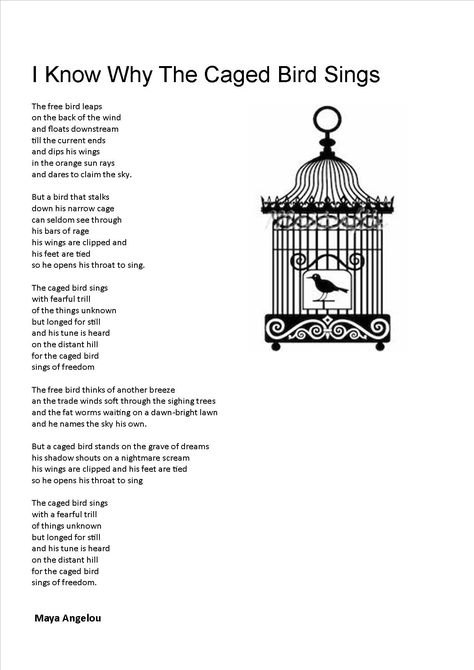 I know why the cage bird sings I Know Why Caged Birds Sing, Caged Birds Quotes, Maya Angelou I Know Why The Caged Bird Sings, I Know Why The Caged Bird Sings Tattoos, I Know Why The Caged Bird Sings Quotes, I Know Why The Caged Bird Sings, Caged Bird Art, Caged Bird Tattoo, Bird Cage Art