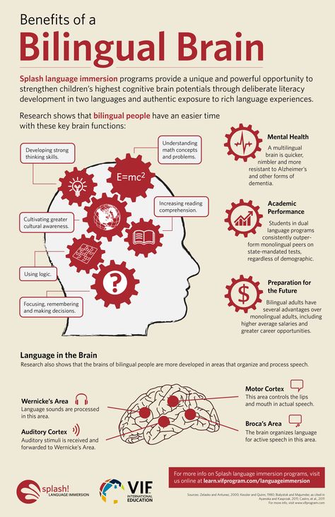 Dual language education provides a unique and powerful opportunity to strengthen children's highest cognitive brain potentials. Bilingual Brain, Brain Infographic, 블로그 디자인, Learning Languages Tips, Learning A Second Language, Bilingual Education, Dual Language, E Mc2, Language Learners