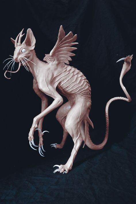 ArtStation - Sea Cat, Sadan Vague Creepy Animal Art, Sadan Vague, Horror Creatures, Cat Creature, Animal Concept, Cat Monster, Art Bizarre, Creepy Animals, Monster Creature