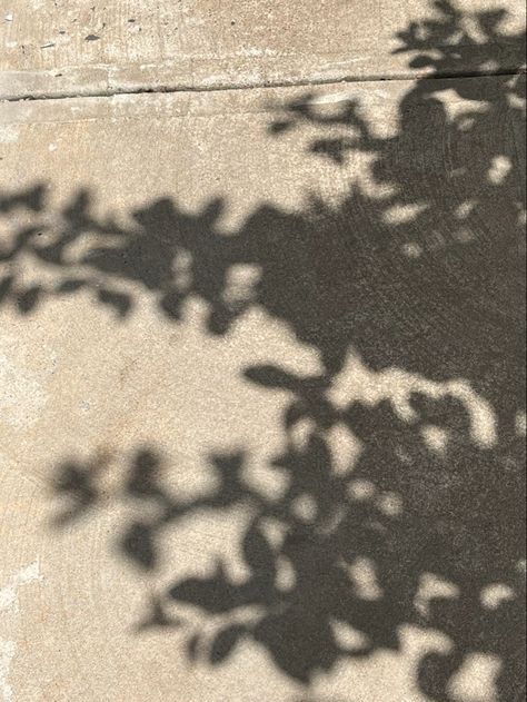 shadows of leaves on the pavement Nature, Pavement Aesthetic, Tree Shadow Painting, Aesthetic Shadow Pictures, Leaves Shadow, Aesthetic Leaves, Aesthetic Shadow, Leaves Aesthetic, Shadow Aesthetic