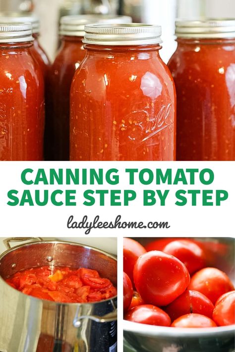 Canning Tomatoes Water Bath, Canning Tomato Sauce, Canning Fruit Recipes, Preserve Tomatoes, How To Make Tomato Sauce, Can Tomato Sauce, Canning Tomatoes Recipes, Water Bath Canning Recipes, Easy Canning