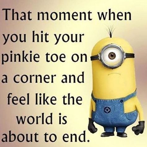 That Moment When You Hit Your Pinkie Toe Humour, Minions, Spring Funny, Funny Minions, Funny Minion Pictures, Funny Minion Memes, Minion Jokes, Minion Pictures, Minions Love