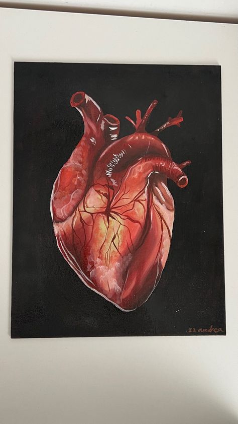 Realistic Heart Painting On Canvas, Anatomical Heart Painting Acrylics, Human Heart Art Paintings, Human Heart Painting On Canvas, Real Heart Painting, Realistic Heart Painting, Heart Painting Acrylic, Realistic Heart Drawing, Heart Canvas Painting Ideas