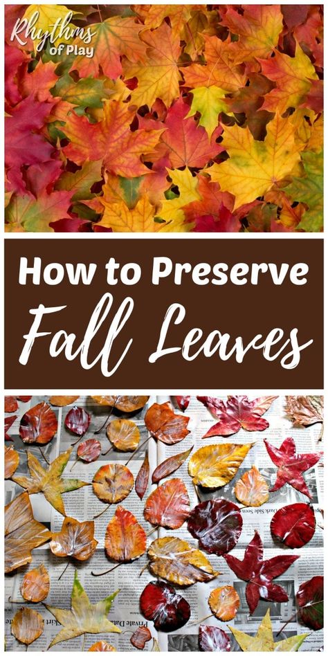 Natal, Preserve Fall Leaves, How To Preserve Leaves, Autumn Leaves Craft, Leaf Projects, Art And Craft Videos, Easy Arts And Crafts, Pot Pourri, Leaf Crafts