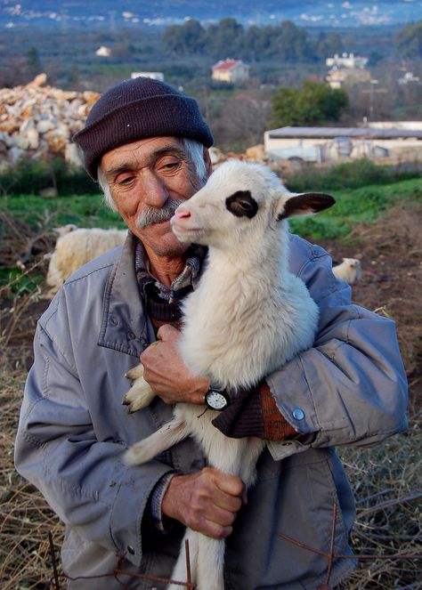 Pavlo's sheep on the Greek island of Crete | by Peace Correspondent Goat People Drawing, Creta Greece, Sheep Portrait, Greece People, Greek People, Work Portrait, Piskel Art, Greek Culture, Crete Greece