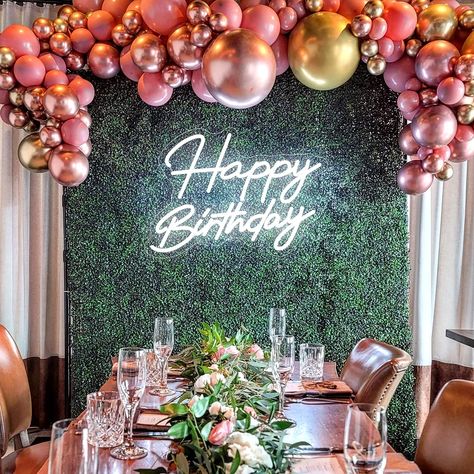 BIOIWGY Happy Birthday Neon Sign for Wall Decor LED Neon Light Sign Happy Birthday Light up Sign for Birthday Party Gifts LED Sign(White) Birthday Lights, Happy Birthday Signs, Light Up Signs, Happy Birthday Sister, Neon Led, Led Neon Lighting, Neon Light Signs, Birthday Party Gift, Birthday Sign
