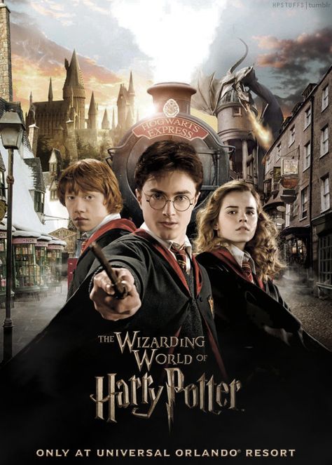 Harry Potter Stuff, Harry Potter Movie Posters, Harry Potter Goblet, Wallpaper Harry Potter, Daniel Radcliffe Harry Potter, Tapeta Harry Potter, Harry Potter Background, Harry Potter Poster, The Wizarding World Of Harry Potter