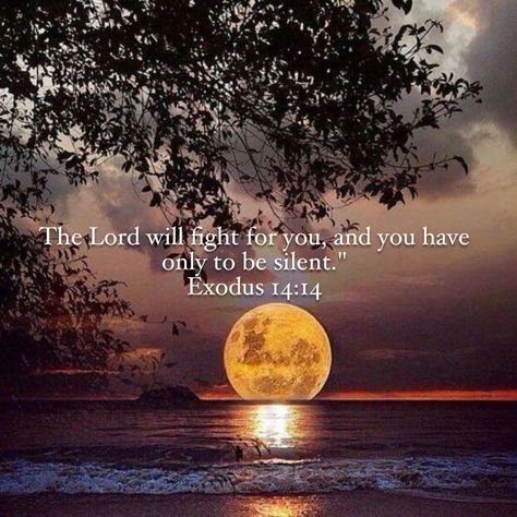 Rest Tonight Quotes, Beautiful Scriptures, Daily Grace, Ayat Alkitab, Prayer Scriptures, Faith Prayer, Bible Truth, Bible Prayers, Biblical Quotes